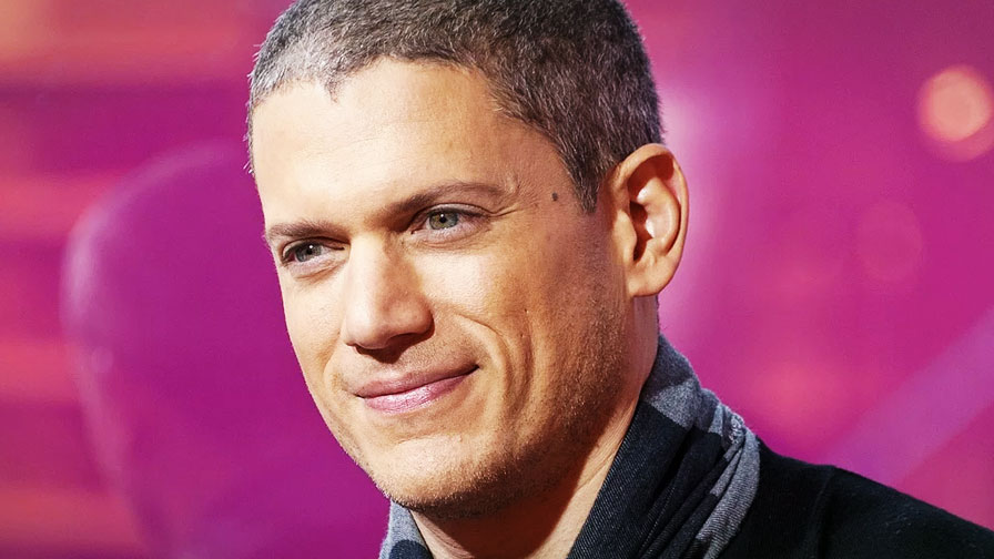 Wentworth Miller Gay